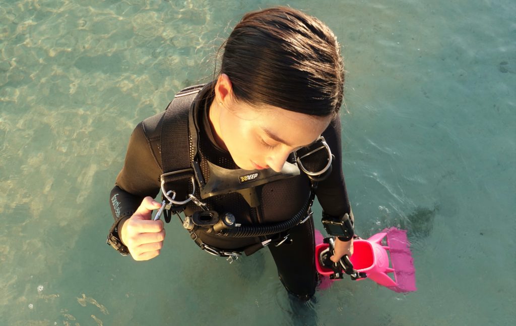 Dive Clips/ Boltsnaps – What Are They Used For and How?